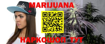прущие грибы Пенза
