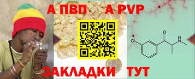 прущие грибы Пенза