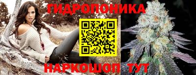 прущие грибы Пенза