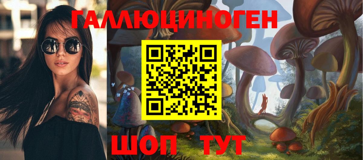 Псилоцибиновые грибы ЛСД  Галлюциногенные грибы Cubensis  Пугачёв  Вход с VPN 