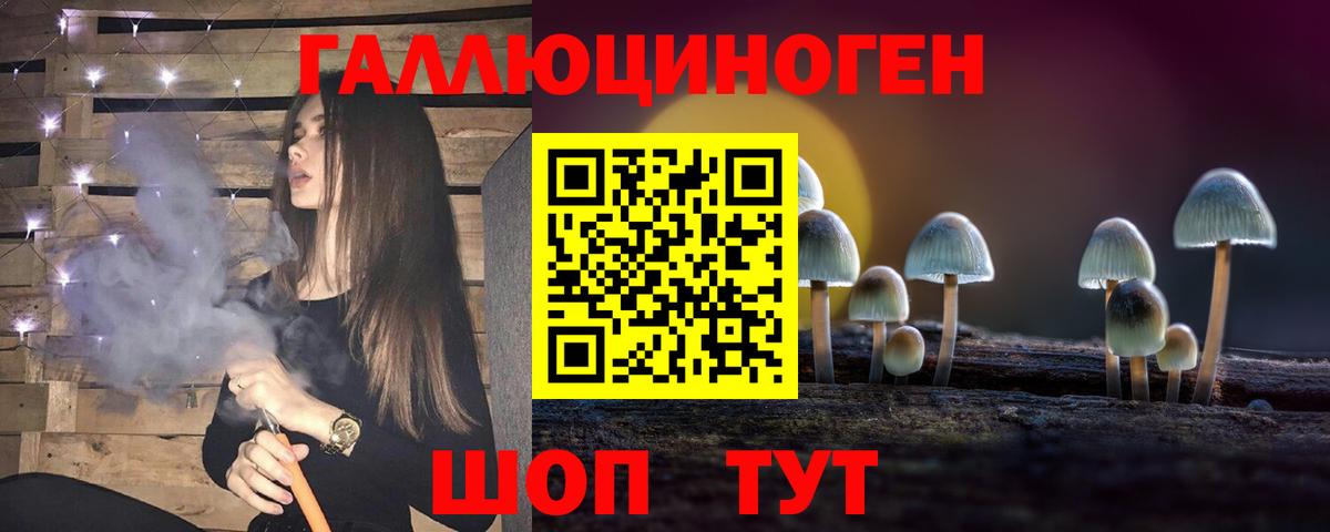 Галлюциногенные грибы Psilocybe Пугачёв